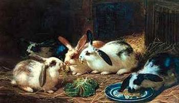 unknow artist Rabbits 116